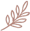 Botanical leaf branch line illustration in mauve representing restoration and renewal.